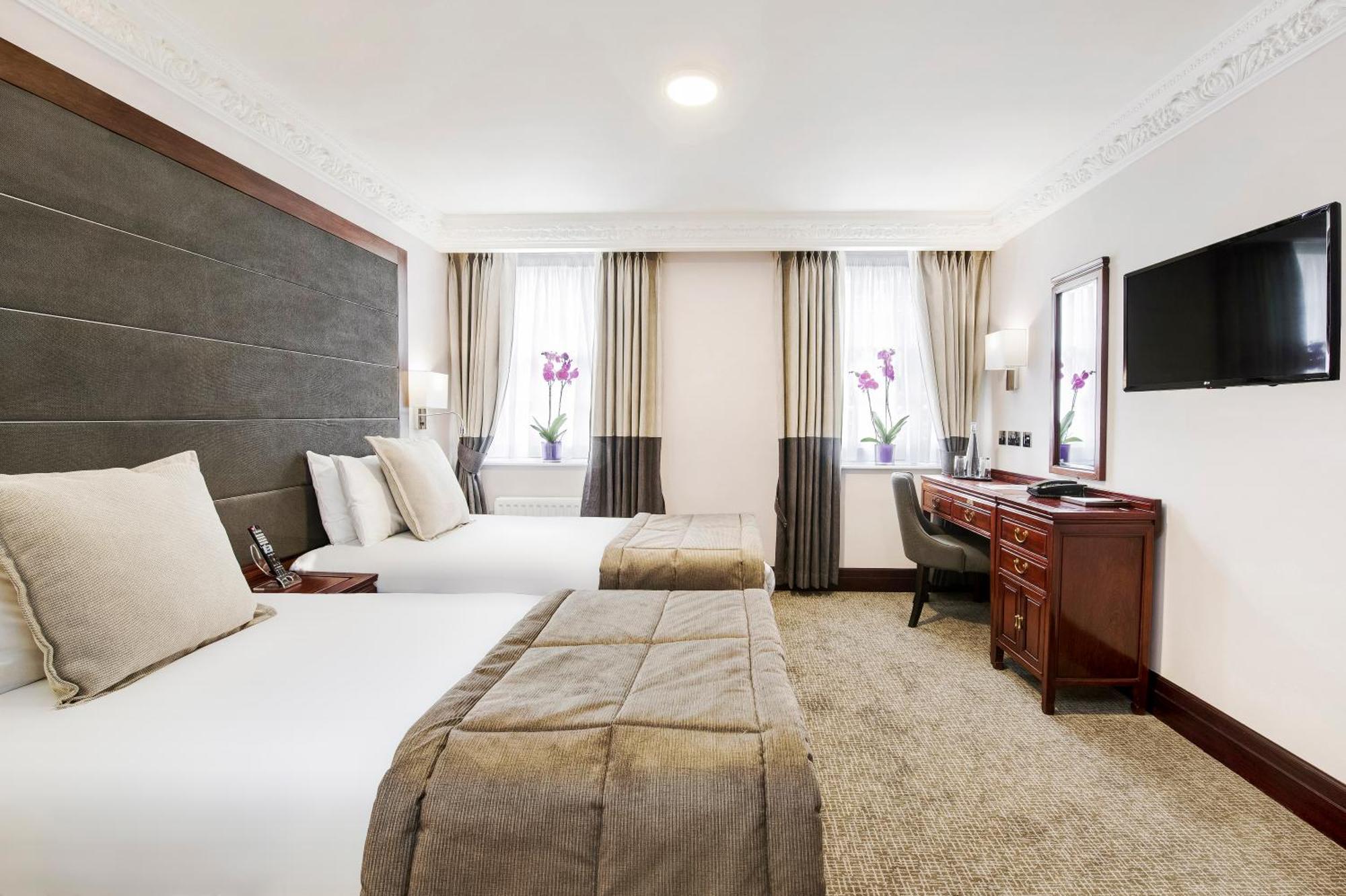 Executive Twin Room,1208645767:JPEG