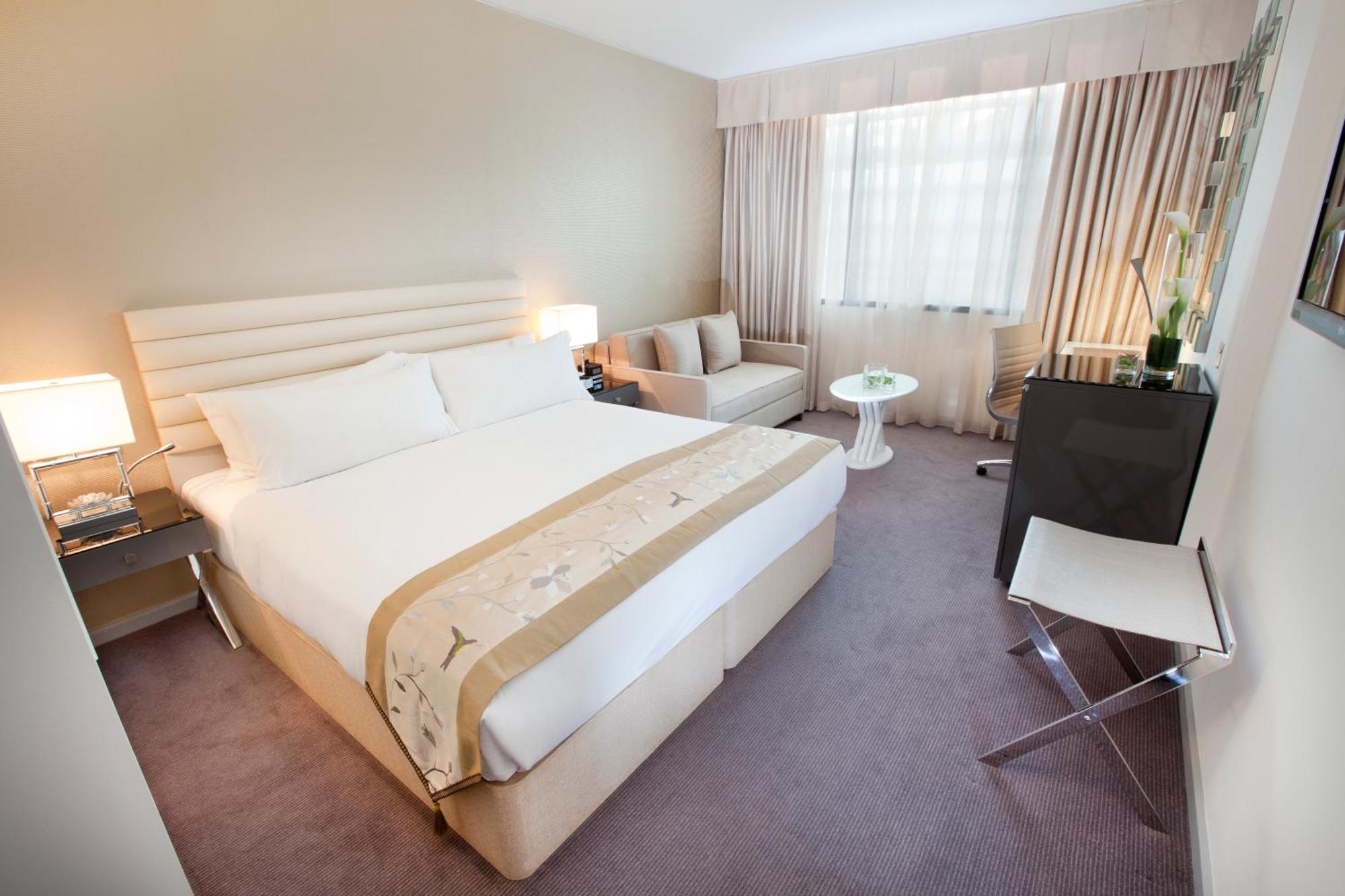 Executive Double Room,1238026846:JPEG