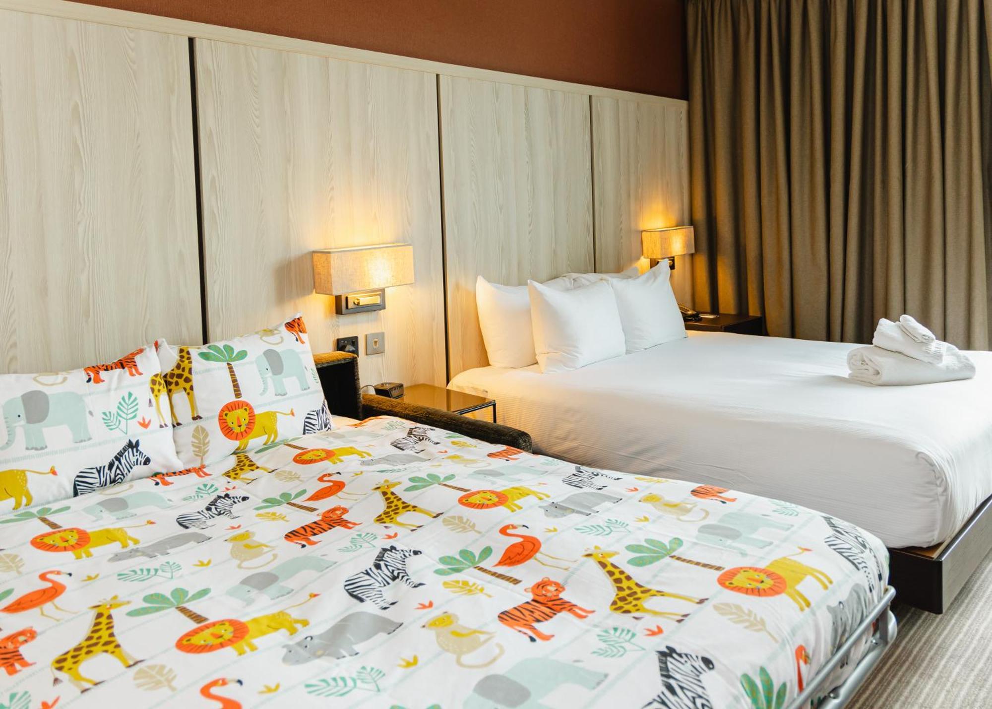 Queen Room with Sofa Bed,1516366684:JPEG